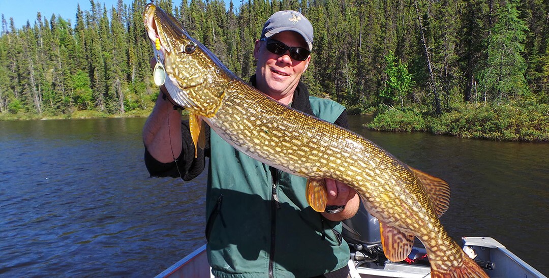 How to Catch a Northern Pike Northern Pike Fishing Tips