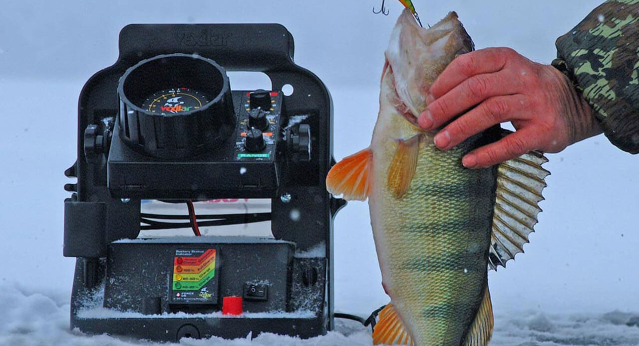 Ice fishing. Зимняя рыбалка. Флешер для зимней рыбалки. Хорошей рыбалки.